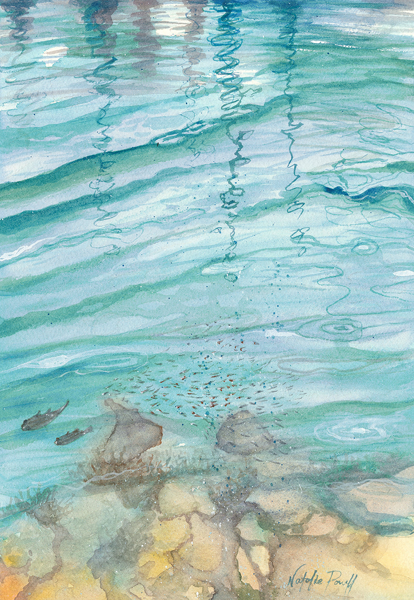 'Mindarie Reflections' print