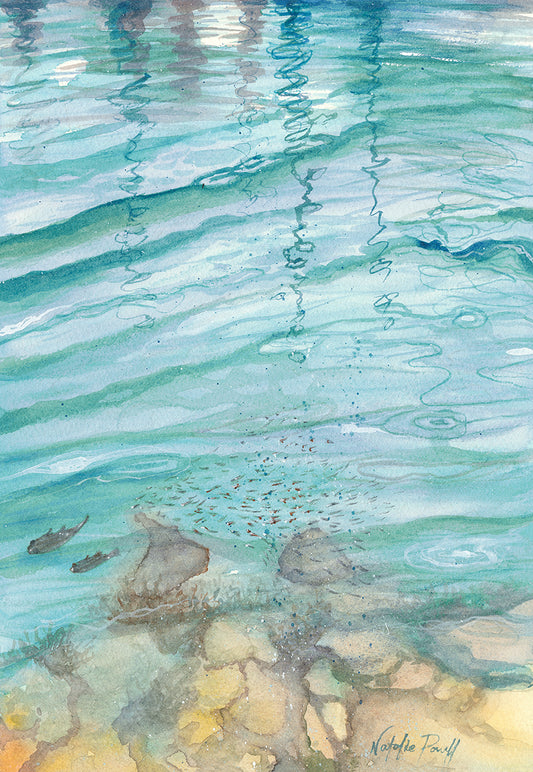 'Mindarie Reflections'