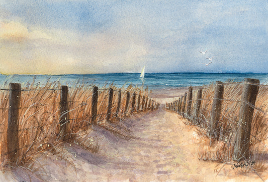 'Afternoon Sail'