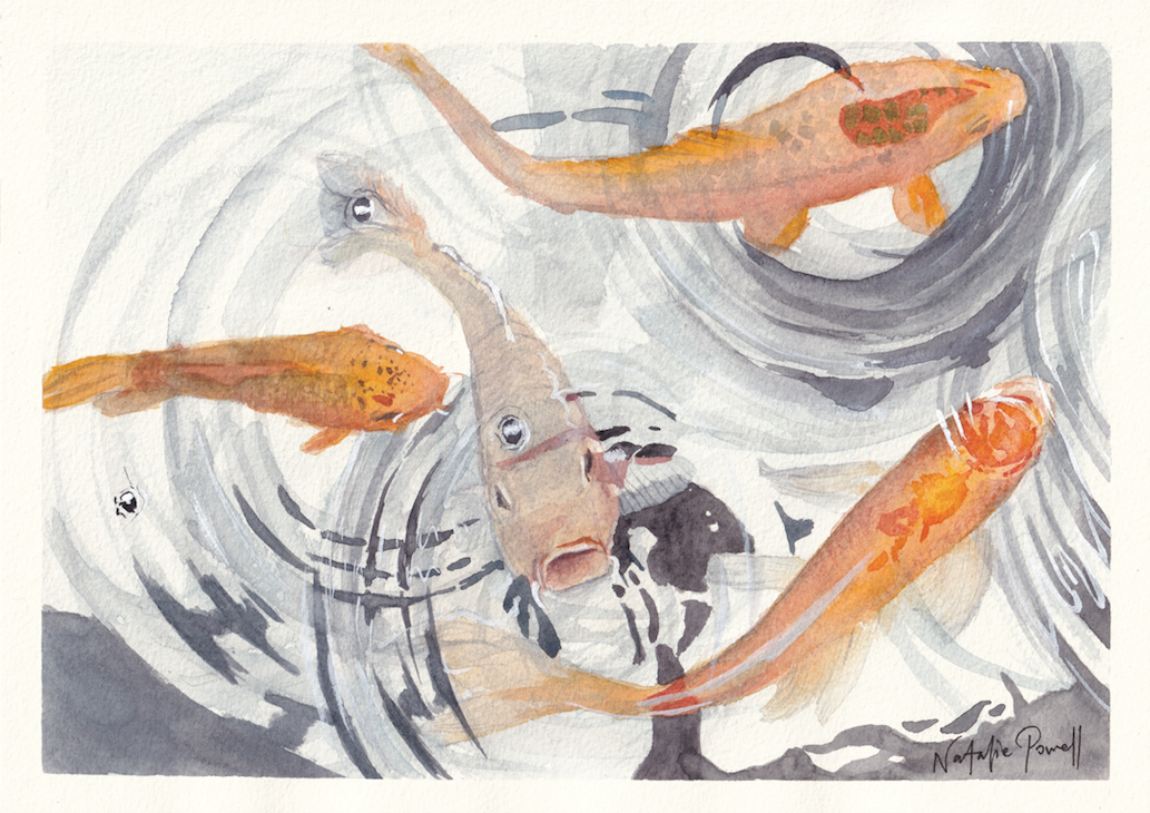'Curious Koi' original artwork