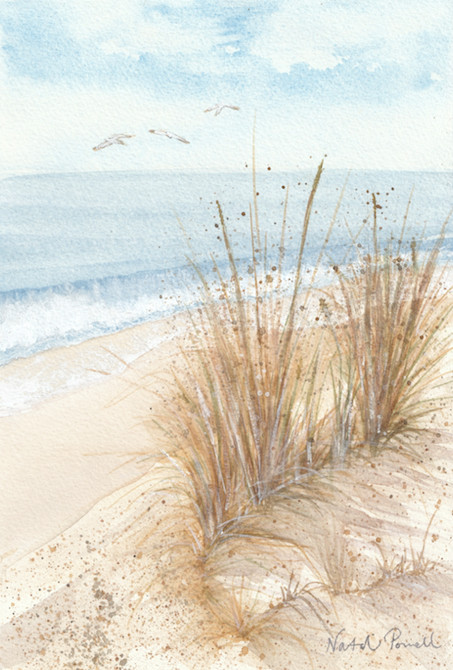 Image depicts a view from a grassy dune to a beach below.